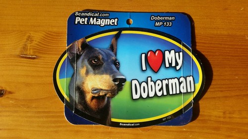 Scandical love dog - love, my